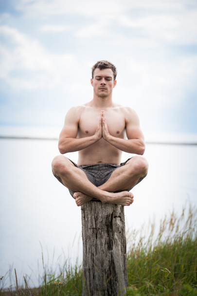 Young Adult Doing Yoga on a Stump in Nature - Фото, изображение