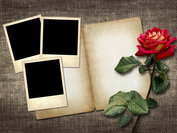 Polaroid-tyylinen valokuva pellavataustalla punaisella ruusulla
 - Valokuva, kuva