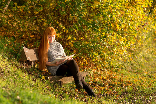 Mujer leer el libro en el bosque de otoño
 - Foto, Imagen