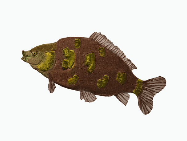 Carp fish - Photo, Image