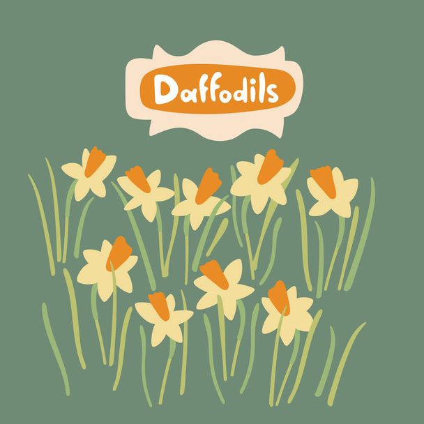 Daffodil λουλούδια και φύλλα σε επίπεδη στυλ. Διανυσματικό χειροποίητο σετ λουλουδιών. Βοτανικό απόθεμα απομονωμένη εικόνα στο πράσινο με κείμενο - Daffodils. Μεγάλη για προσκλήσεις, ευχετήριες κάρτες, διακόσμηση - Διάνυσμα, εικόνα