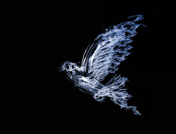 rook vliegende duif geïsoleerd op zwart - Foto, afbeelding
