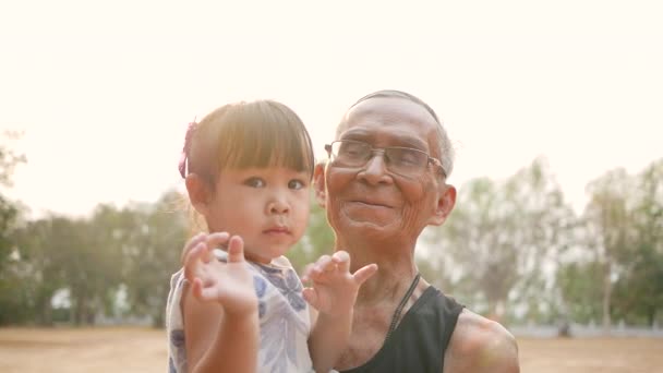Portrait of happy grandfather and granddaughter smile, looking at the camera in summer park. Family relationship concept. - Footage, Video