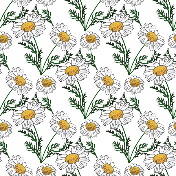 Wunderschöne Kamillenblüten mit nahtlosem Muster. Vektor Cartoon Hintergrund. - Vektor, Bild
