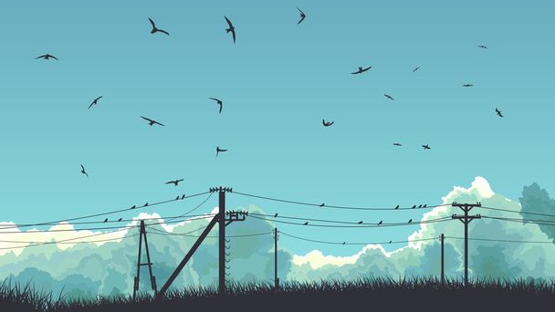 Ilustración horizontal de aves en el cielo y en la línea eléctrica
. - Vector, imagen