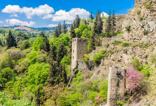 La antigua fortaleza de Narikala. Vista desde el lado del Jardín Botánico Nacional. Georgia. Tiflis
. - Foto, imagen