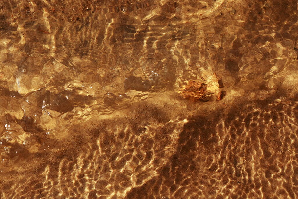 The sandy bottom of the lake, waves and ripples in shallow water, an orange leaf floats in the water. - Foto, Imagem