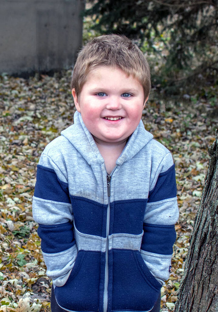 portrait of a cute little boy outdoors - Foto, Bild