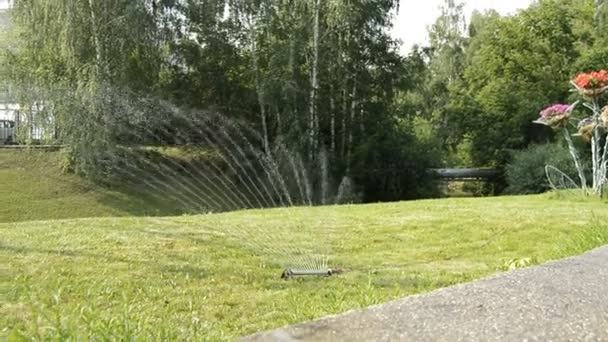 Podlewanie zielonego trawnika w parku latem w słoneczny dzień, woda jest spryskiwana w postaci wentylatora, na tle drzew, Hd video - Materiał filmowy, wideo
