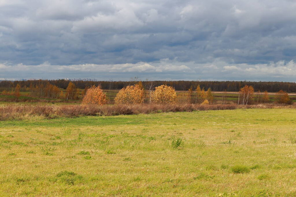 Autumn landscape on a warm day.  Meadow and trees with orange foliage in the distance, forest at the background. Sunshine and clouds. - Foto, immagini