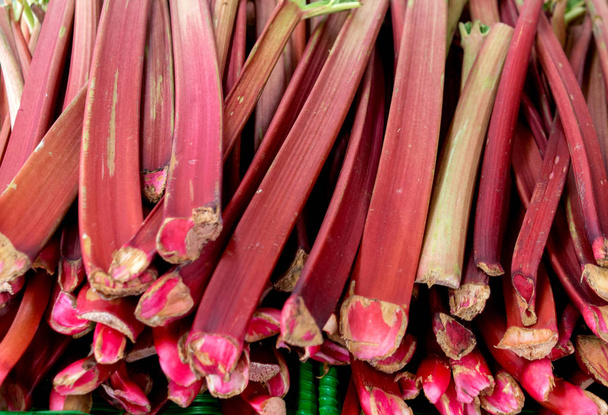 Świeże rabarbar łodygi są sprzedawane na świeżym rynku rolnym w Michigan Usa - Zdjęcie, obraz