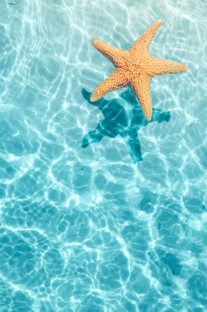 Αστερίας στην καλοκαιρινή παραλία με θαλασσινό νερό. Θερινό φόντο. Θερινή ώρα. - Φωτογραφία, εικόνα