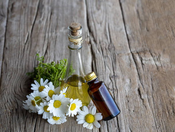 Essential oil in glass bottles with fresh chamomile flowers, beauty treatment. - Fotoğraf, Görsel