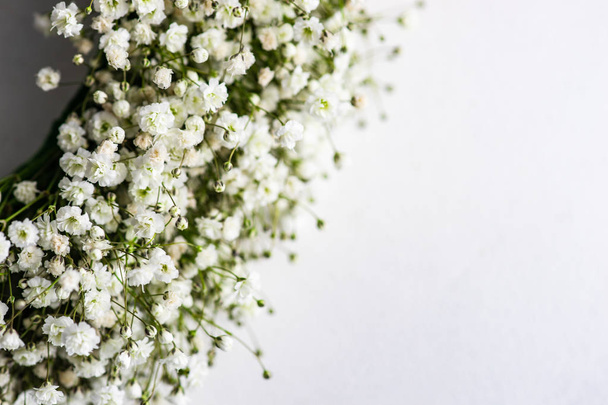 Beautiful white flowers of Gypsophila paniculata plant in bridal concept - Photo, Image