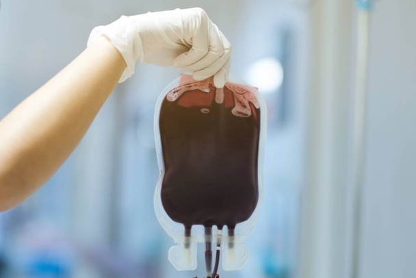Enfermera sosteniendo bolsa de sangre para el paciente en el hospital
  - Foto, imagen