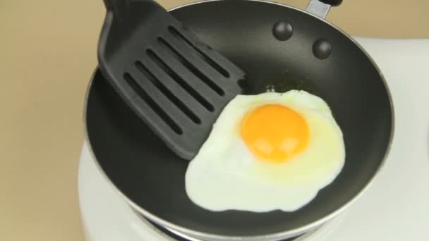 Moving Fried Egg - Video, Çekim