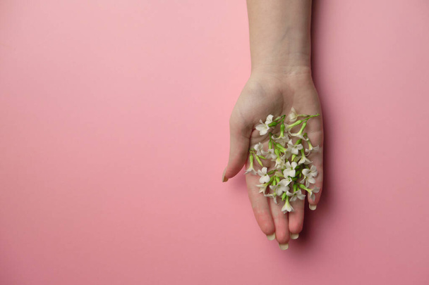 Garden flowers in hand over plain pink background. Backdrop with copy space. - Foto, Imagen