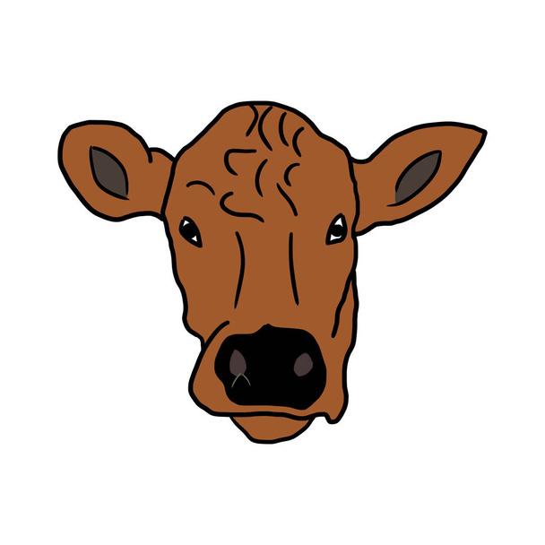 Testa di un animale di mucca marrone, isolato disegnato a mano fumetto fumetto doodle illustrazione su sfondo bianco. Stile infantile
. - Vettoriali, immagini
