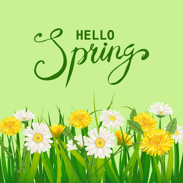 Hello Spring lettering template background with flowers dandelions and daisies, chamomiles, grass. Vector illustration. Fresh design for posters, flyers, greeting card, invitation - Vektor, Bild