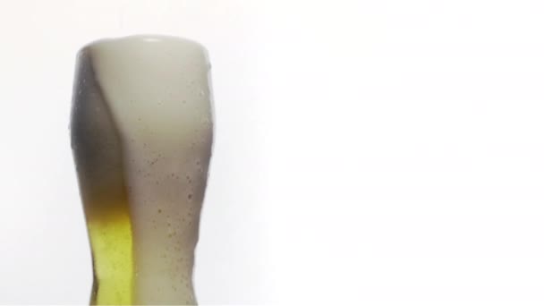 Fine bubbles rising In glass with beer on white background. Glass of beer close-up with froth in slow motion  - Кадры, видео