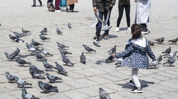 Het kleine meisje rent tussen de duiven door. Istanbul Beyazit Square werd gefotografeerd. - Foto, afbeelding
