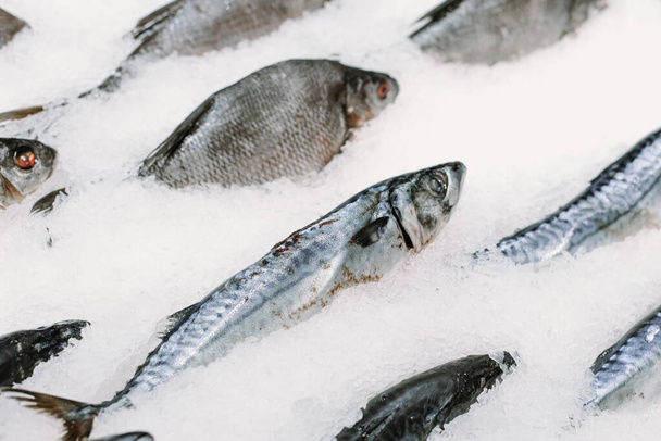 Frozen fish in ice in a supermarket. Close up. - Zdjęcie, obraz