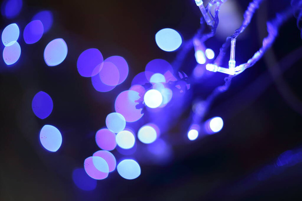Christmas lights on dark blue background with copy space. Decorative garland - Φωτογραφία, εικόνα