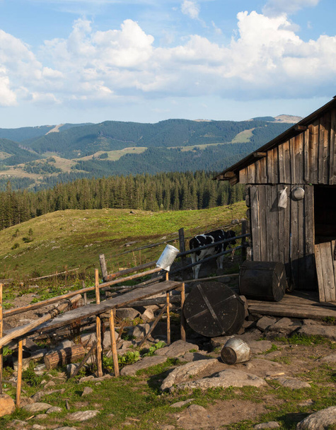 Dřevěné stáje pastýřů v ukrajinských Karpat. - Fotografie, Obrázek