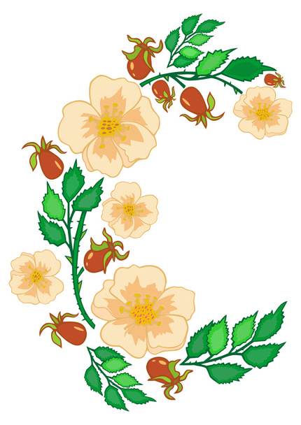 Анотація троянди відділення
 - Вектор, зображення