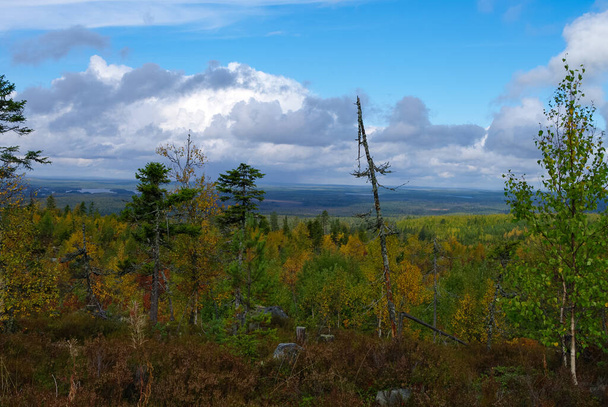 View to taiga forest and lakes from Mountain Vottovaara, Karelia, Russia - Photo, Image