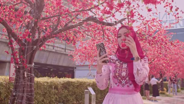 roztomilá dáma selfie se svým mobilním telefonem pod Sakura květiny v Siamsquar centru v Bangkoku - Záběry, video
