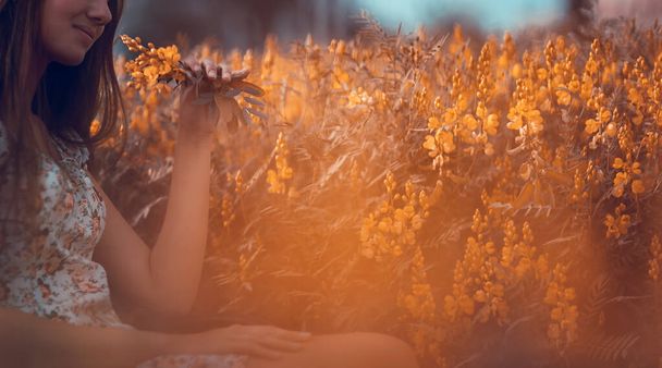 Мрійлива фотографія з м'яким світлом, красива дівчина сидить на красивих свіжих квіткових полях, із задоволенням проводить час на відкритому повітрі, поєднуючись з природою
 - Фото, зображення