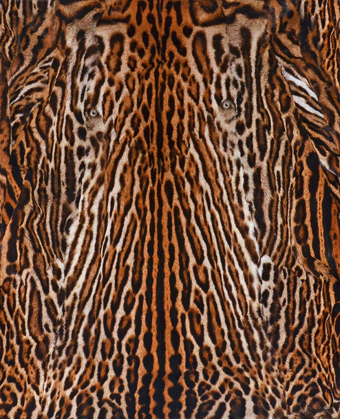 Leopar deri arka plan - Fotoğraf, Görsel