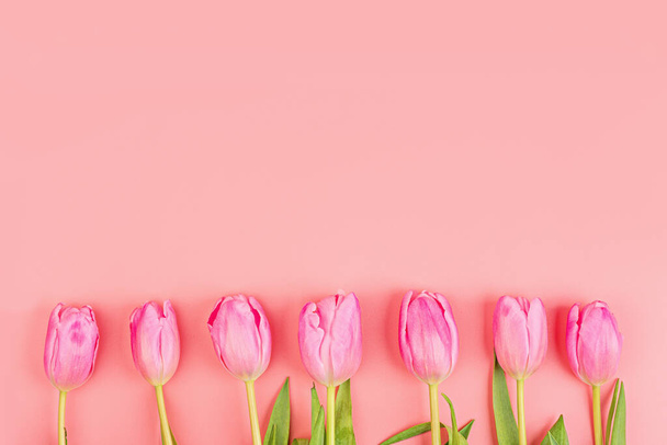 Pohled z výše uvedených tulipánů s kopírovacím prostorem. Pozadí pro den žen, 8. března Valentýna, 14. února. Byt ležel styl, horní pohled, maketa nahoru, šablona, režie. Pozdrav - Fotografie, Obrázek