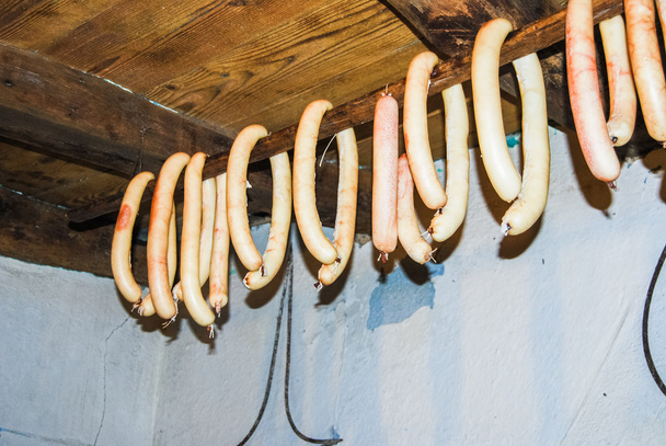 Sardinian sausage - Photo, Image