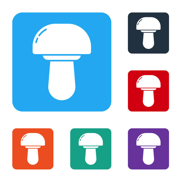 White Mushroom Symbol isoliert auf weißem Hintergrund. Setzen Sie Symbole in farbigen quadratischen Tasten. Vektorillustration - Vektor, Bild