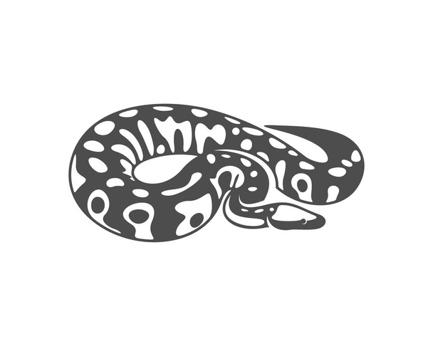 Wektor logo węża Pythona, grafika zwierzęca, ilustracja szablonu projektu węża - Wektor, obraz