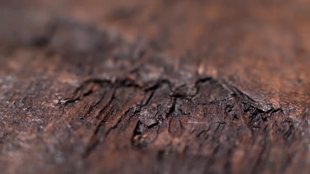Primo piano di texture in legno marrone scuro naturale. Filmati delle scorte. Vecchio tavolo rustico con fessure, fondo in legno
. - Filmati, video