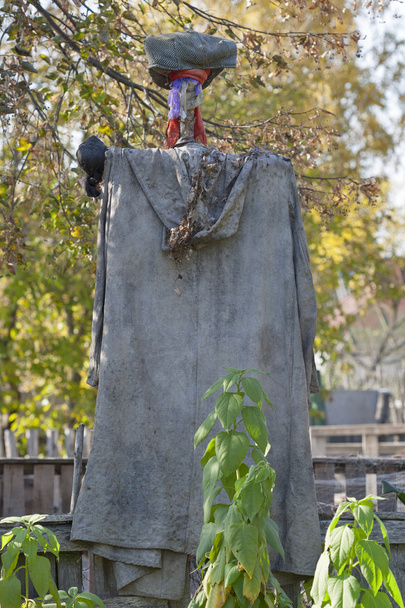 Rural scarecrow - Foto, afbeelding