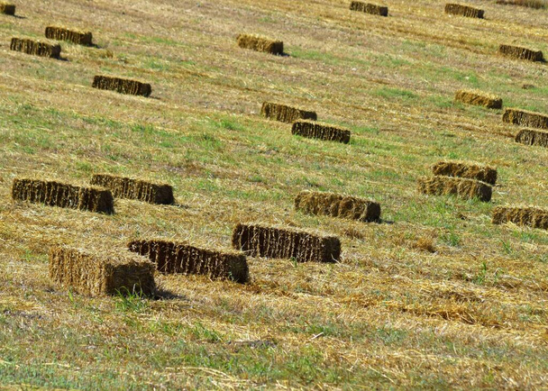 фон сенокосов в поле
 - Фото, изображение