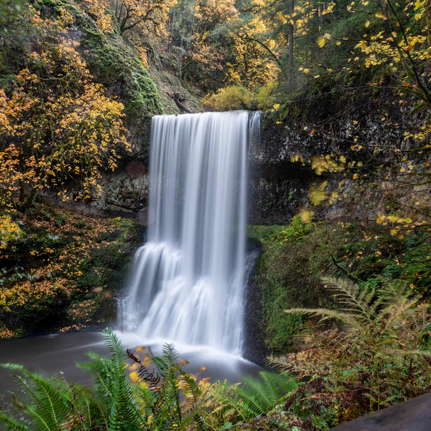 Długa ekspozycja wodospadu w Silver Falls State Park, Silverton, Oregon, Usa, jesienią, z żółtymi kolorami i paprociami we mgle - Zdjęcie, obraz