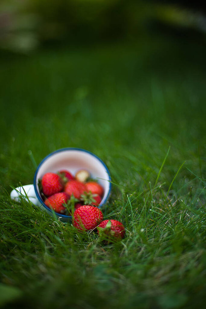 ripe strawberries on the grass - Фото, зображення