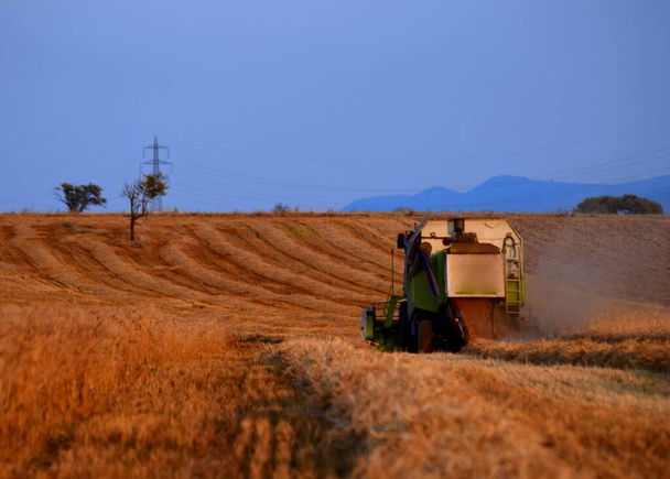 background of harvester harvesting wheat in the field - Foto, immagini
