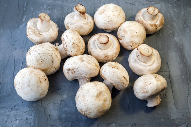 Полный кадр сырых шампиньонов из свиных грибов на сером фоне
. - Фото, изображение