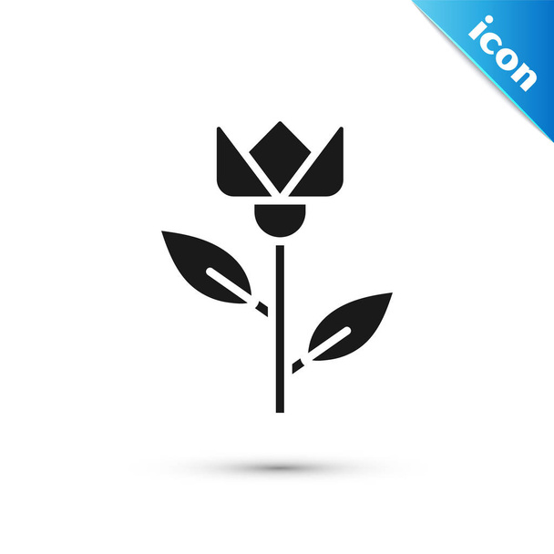 Graue Blume Tulpe Symbol isoliert auf weißem Hintergrund. Vektorillustration - Vektor, Bild