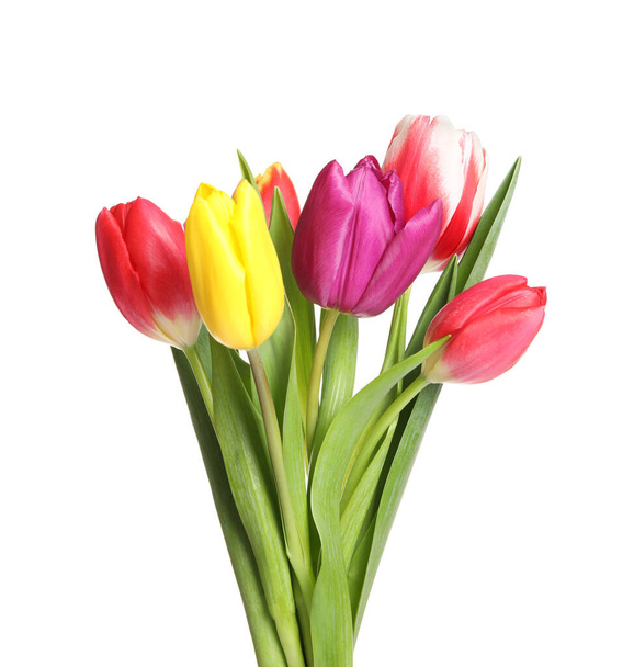 Beautiful bright spring tulips on white background - Foto, Imagen
