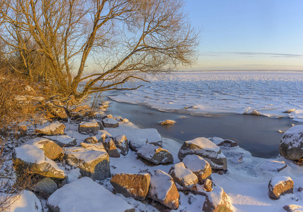 Giornata di sole 29 febbraio 2020 sulle rive del Golfo di Finlandia
.  - Foto, immagini