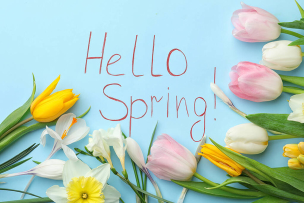 Words HELLO SPRING and fresh flowers on light blue background, flat lay - Fotografie, Obrázek