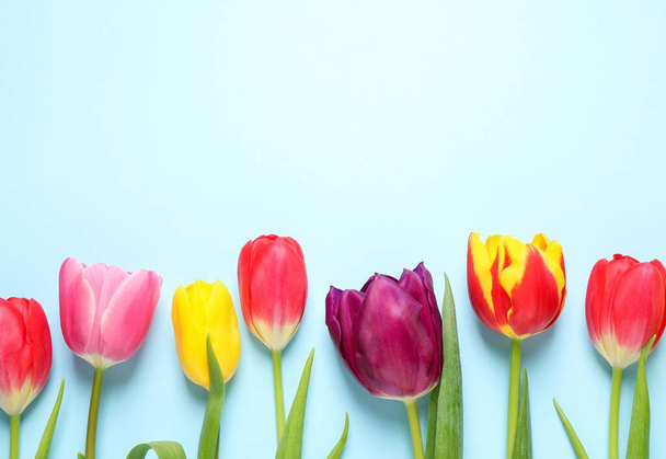 Beautiful spring tulips on light blue background, flat lay. Space for text - Fotoğraf, Görsel