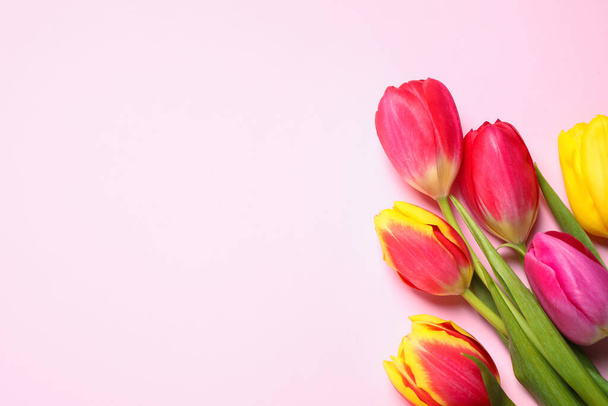 Beautiful spring tulips on pink background, flat lay. Space for text - Foto, Imagen